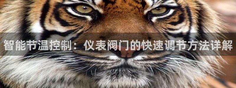 九游会倒闭吗