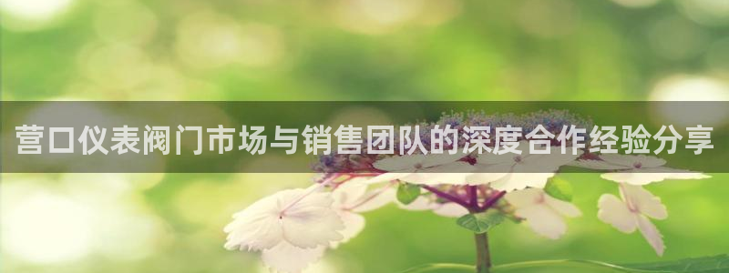 九游会j9提现快吗
