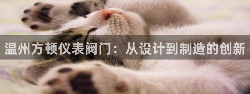 九游会小米