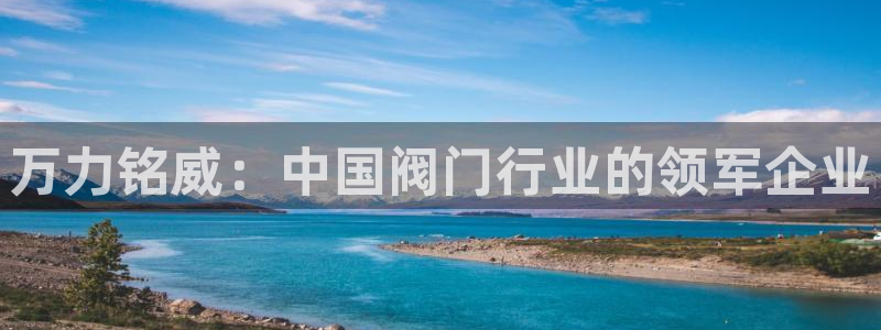 亚洲九游会公司