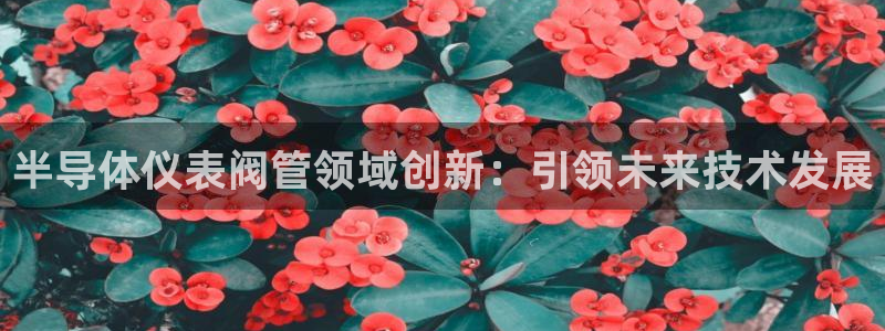 j9九游会数字