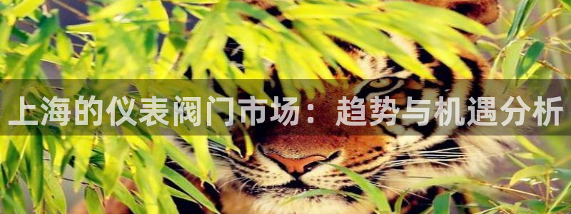 九游会小米