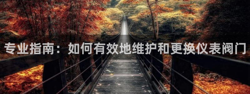 九游会不能