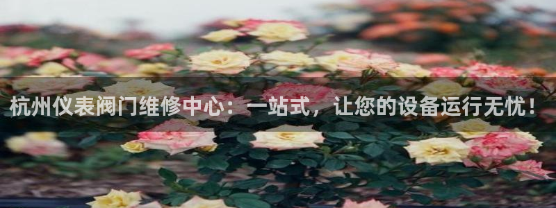 九游会 官网