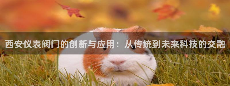 九游会外网