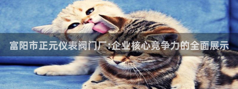 九游会网页版官网下载