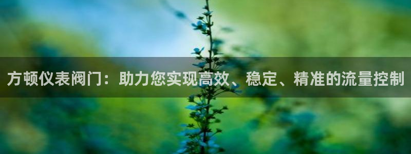 九游会无法登录吗