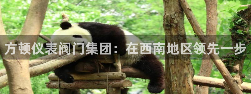 aj九游会亚