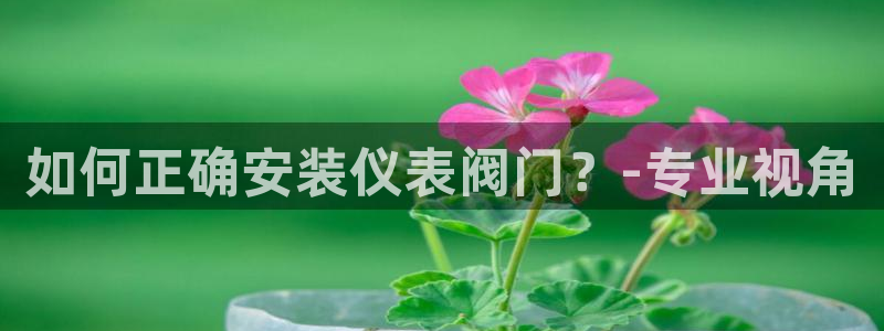 旧版九游会