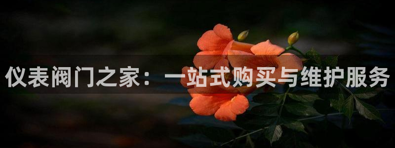 九游会最新官网ag