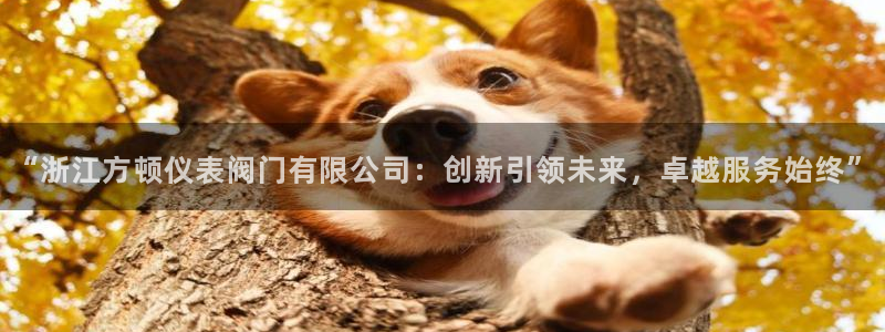 九游会官网手机版入口