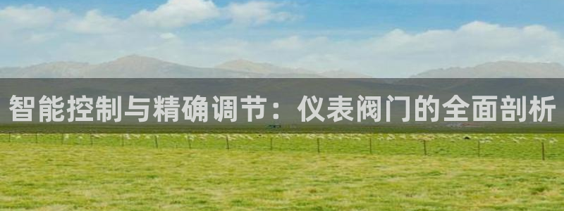 九游会双币