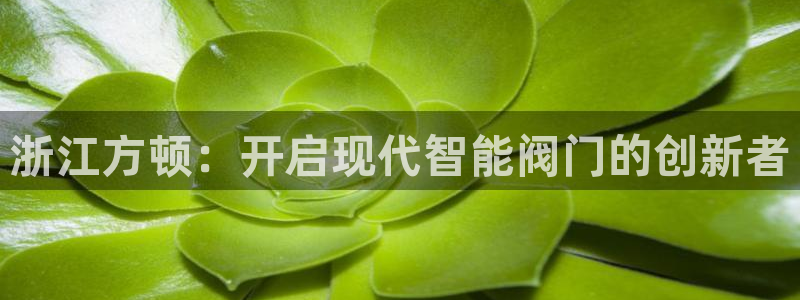 九游会网站数字货币