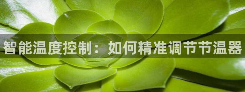九游会ag正版app