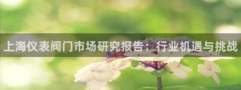 j9九游会网址