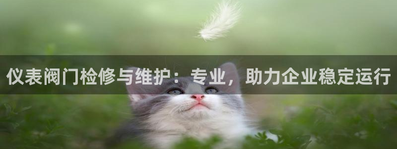 九游会盗号