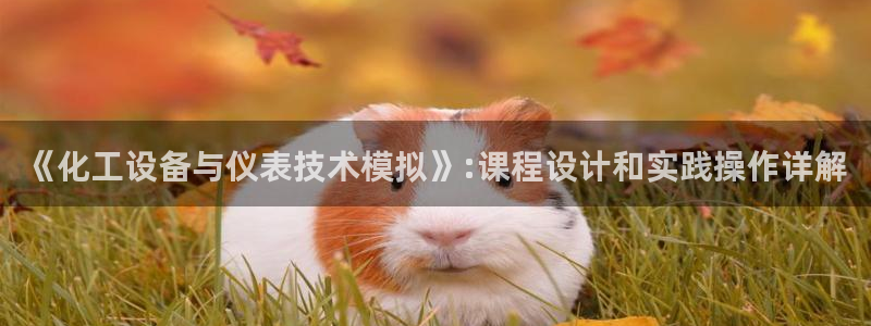 澳门九游会