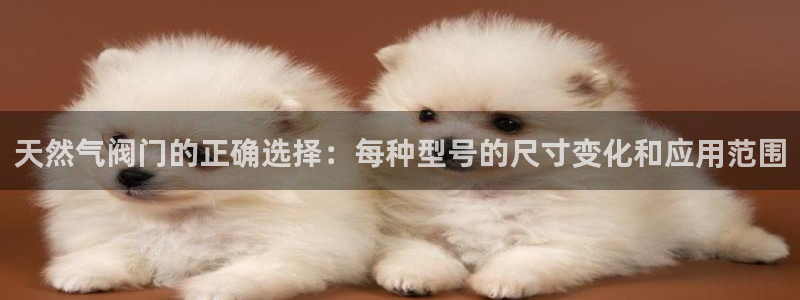 九游会最新下载安装