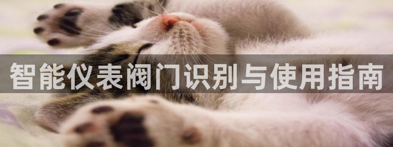 九游会老哥帮