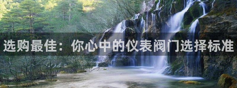 九游贵宾会
