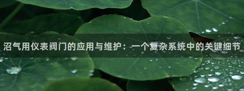 ag九游会老哥会