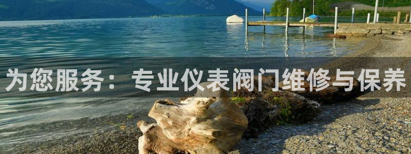 j9九游会最新网站