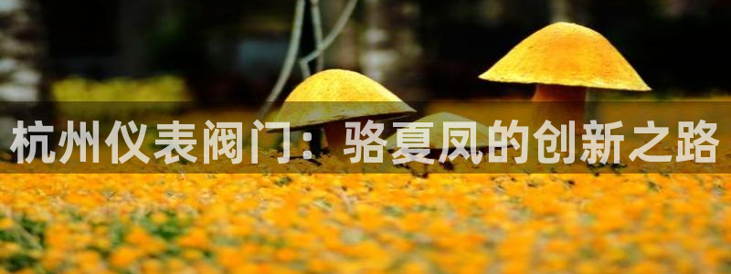 九游会 体育