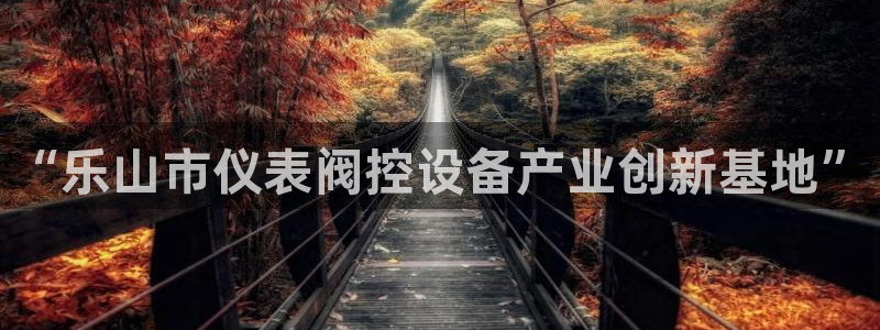 九游会网站多少