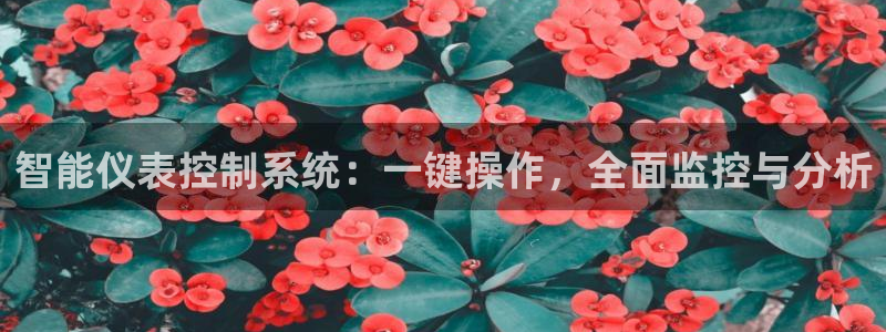 九游会老哥会