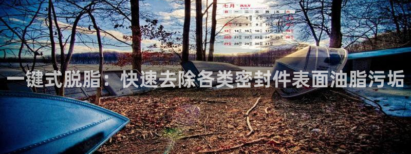 亚游游戏九游会