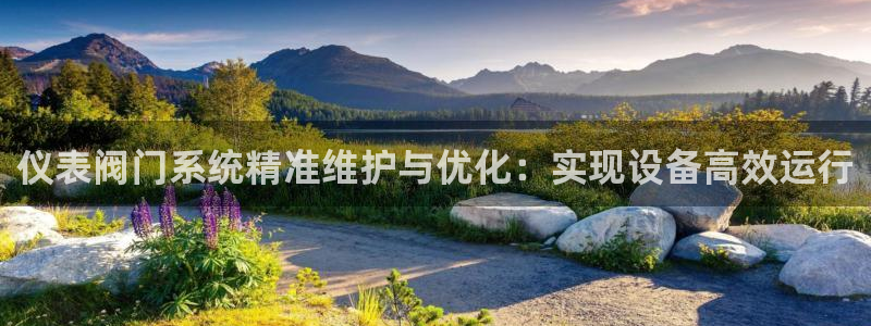 j9九游会平台