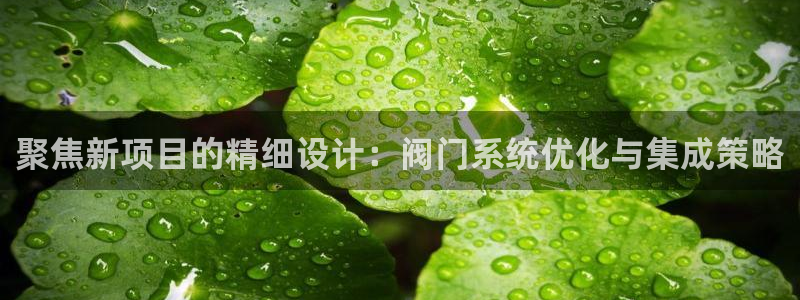 九游会黑网