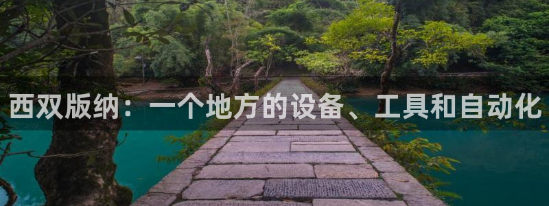 九游会官网入口在哪找