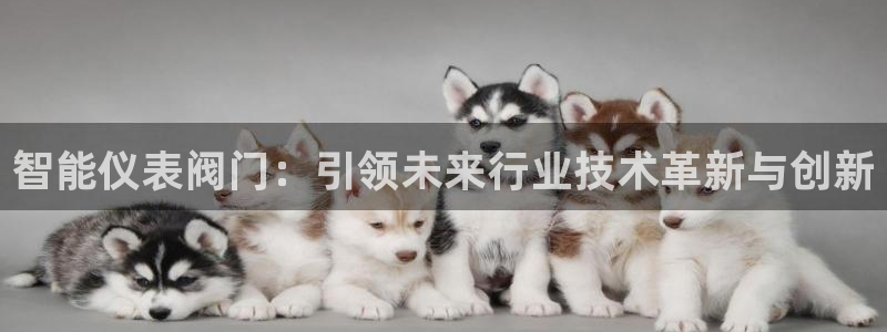 usdt九游会