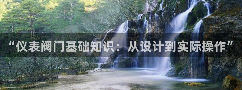 九游会平台官