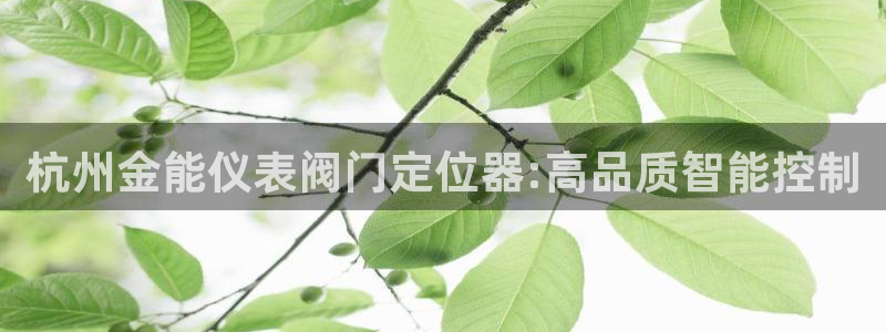 轩辕传奇手游九州摘星会