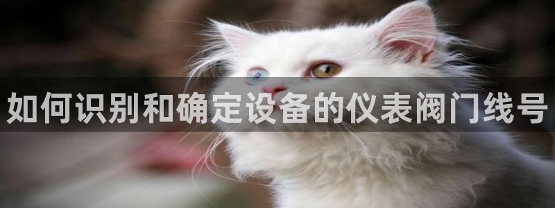 九游会平台app