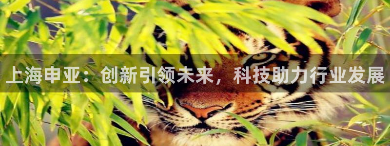 九游会彩票平台