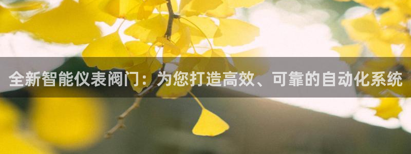 九游会不能注册