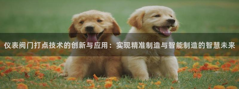 九游会买球