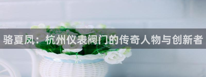 九游会阿里28理财源码