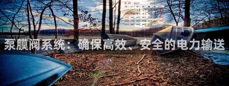 九游会官网网站是什么
