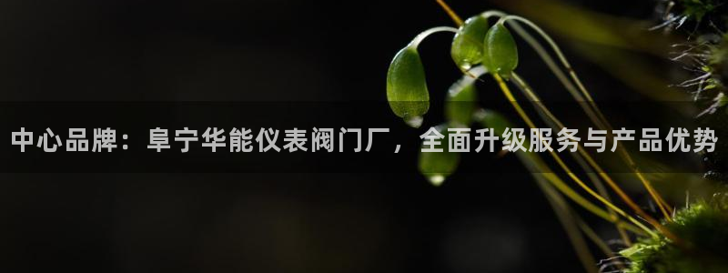 九游会官网在线登录页面