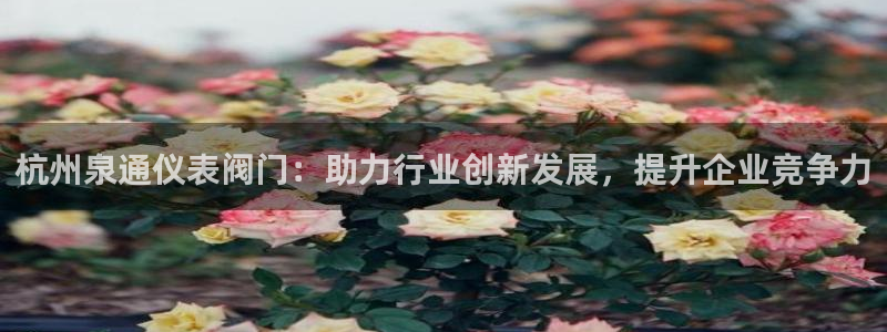 九游会官网手机版本