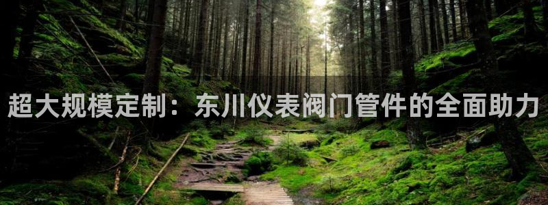 九游会官网个人中心登录