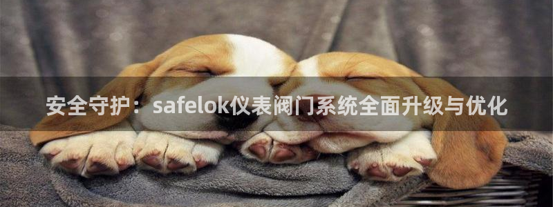 九游会网站是多少