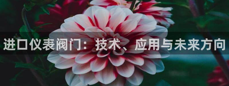 九游光遇会