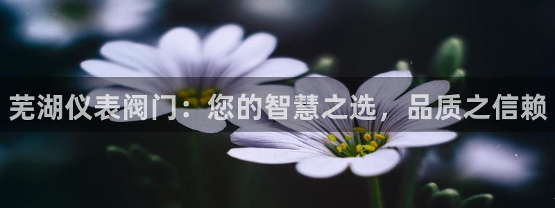 河曲灯游会九门的寓意