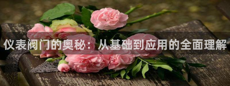 j9九游会入口