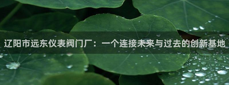 九游和九游会的区别